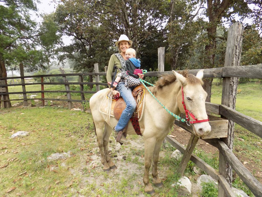 Rancho Hostal La Escondida Eco Park Teopisca Dış mekan fotoğraf